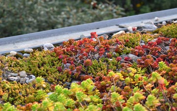the cost of Roebuck Low green roof installation