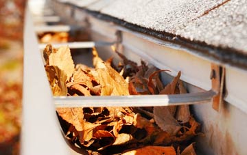 Roebuck Low gutter cleaning companies