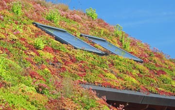 Roebuck Low living roof systems