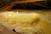 Roebuck Low pitch roof insulation